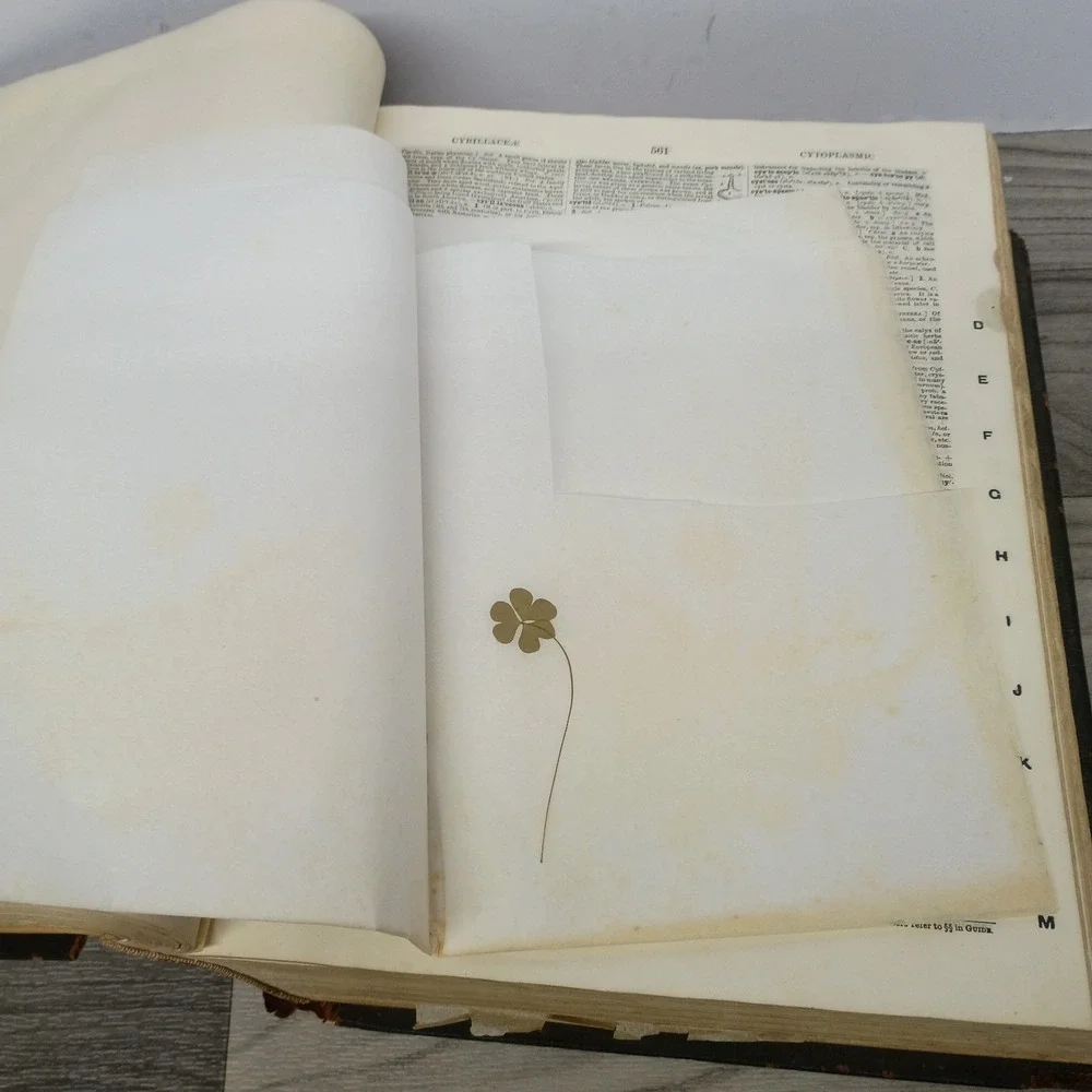 Vtg Webster's New International Dictionary, 1909 India Paper Ed Printed 1927
